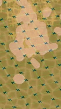 Dijital doku yüzey tasarım biçimi ile modern video animasyonu için gelişmiş hareket grafikleri