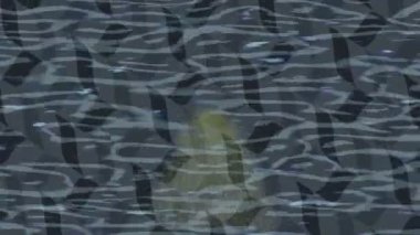 Organik desenli yüzey giriş stili video film sanatı ile soyut arkaplan tasarımı