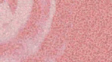 Benzersiz hareket dokusu tasarım sanatı ile profesyonel video düzenleme için modern soyut grafikler