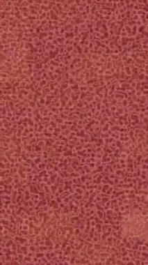 Lüks hareket projeleri için soyut tasarım stili animasyonu olan üst düzey dijital doku