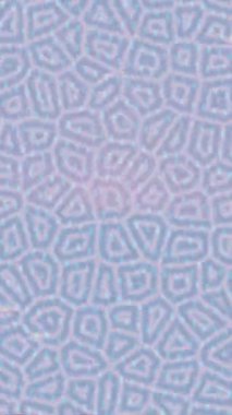 Lüks hareket tasarımı üst düzey video projeleri ve dijital sanat için zarif, pürüzsüz bir dokusu var.