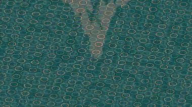 Profesyonel video projeleri sanat tarzı için organik hareketli arkaplan tasarımı