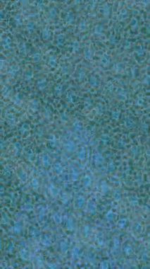 Benzersiz dijital animasyon tarzı grafikleri olan yaratıcı ortam tasarımı için yenilikçi hareket dokusu