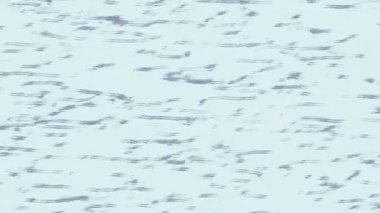 Benzersiz hareket dokusu tasarım sanatı ile profesyonel video düzenleme için modern soyut grafikler