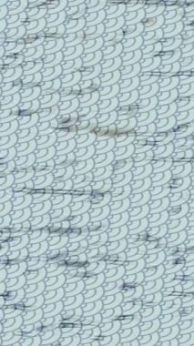 Yaratıcı video düzenleme film arkaplan tasarımı için minimalist organik hareket grafikleri