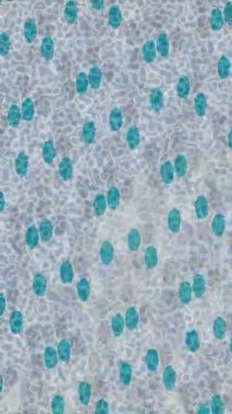 Benzersiz dijital animasyon tarzı grafikleri olan yaratıcı ortam tasarımı için yenilikçi hareket dokusu