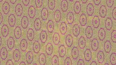 Modern medya üretimi için fütüristik dijital soyut doku sinematik tarz hareketli grafik ögesi