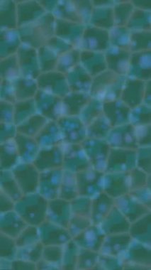 Lüks hareket projeleri için soyut tasarım stili animasyonu olan üst düzey dijital doku