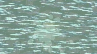 Yaratıcı video düzenleme film tasarımı için benzersiz hareket grafikleri biçimi giriş hareketi video pro