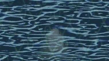 Organik desenli yüzey giriş stili video film sanatı ile soyut arkaplan tasarımı