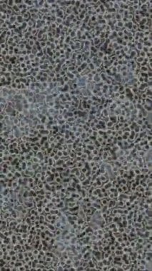 Dijital doku yüzey tasarım biçimi ile modern video animasyonu için gelişmiş hareket grafikleri