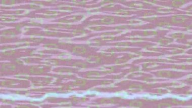 Yaratıcı video düzenleme film tasarımı için benzersiz hareket grafikleri biçimi giriş hareketi video pro