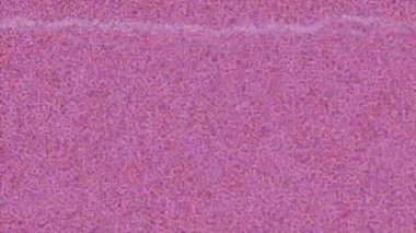 Benzersiz hareket grafikleri tasarım sanatına sahip yaratıcı film üretimi için özet bir arkaplan