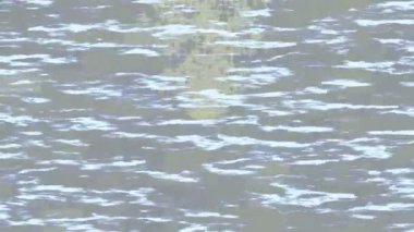 Lüks hareket projeleri için soyut tasarım stili animasyonu olan üst düzey dijital doku