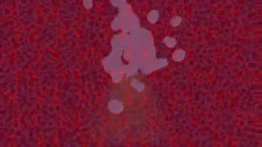 Benzersiz dijital hareket grafiklerine sahip yaratıcı sinematik projeler için yumuşak animasyon yüzeyi