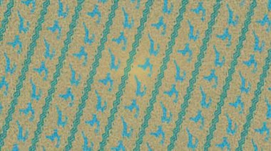 Estetik doku arkaplan tasarımı renkli hareket grafikleri ile moda film giriş profosyoneli