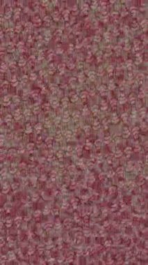 Yaratıcı video düzenleme film arkaplan tasarımı için minimalist organik hareket grafikleri