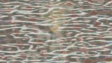 Benzersiz hareket grafikleri tasarım sanatına sahip yaratıcı film üretimi için özet bir arkaplan