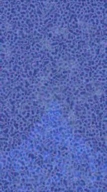 Soyut hareket desenli fütüristik video üretimi için dinamik dijital arkaplan