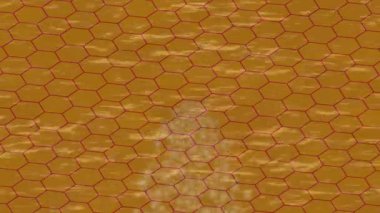 Profesyonel video projeleri sanat tarzı için organik hareketli arkaplan tasarımı