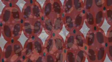 Estetik doku arkaplan tasarımı renkli hareket grafikleri ile moda film giriş profosyoneli