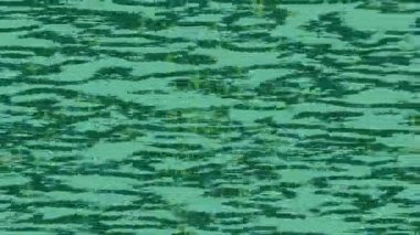 Lüks hareket tasarımı üst düzey video projeleri ve dijital sanat için zarif, pürüzsüz bir dokusu var.