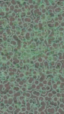 Estetik doku arkaplan tasarımı renkli hareket grafikleri ile moda film giriş profosyoneli