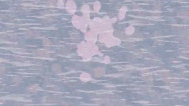 Benzersiz dijital animasyon tarzı grafikleri olan yaratıcı ortam tasarımı için yenilikçi hareket dokusu