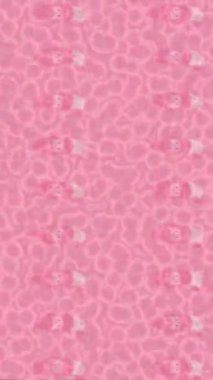 Yaratıcı video düzenleme film tasarımı için benzersiz hareket grafikleri biçimi giriş hareketi video pro