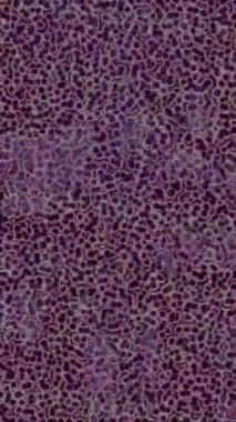 Organik desenli yüzey giriş stili video film sanatı ile soyut arkaplan tasarımı