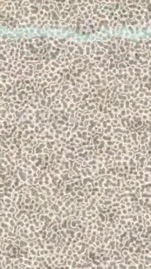 Benzersiz video giriş tasarımı projeleri için detaylı yüzey kalıbı film animasyon stili grafik girişi