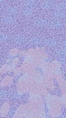 Modern medya üretimi için fütüristik dijital soyut doku sinematik tarz hareketli grafik ögesi