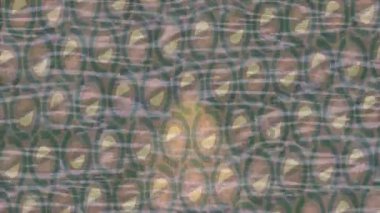 Estetik doku arkaplan tasarımı renkli hareket grafikleri ile moda film giriş profosyoneli