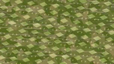 Organik desenli yüzey giriş stili video film sanatı ile soyut arkaplan tasarımı