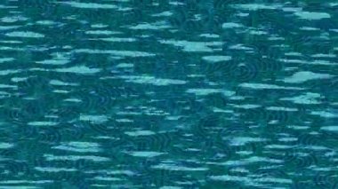 Yaratıcı video düzenleme film arkaplan tasarımı için minimalist organik hareket grafikleri