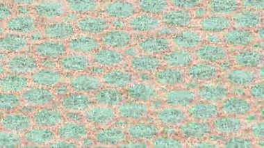 Yaratıcı video düzenleme film tasarımı için benzersiz hareket grafikleri biçimi giriş hareketi video pro