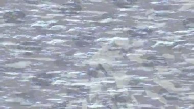 Benzersiz hareket dokusu tasarım sanatı ile profesyonel video düzenleme için modern soyut grafikler