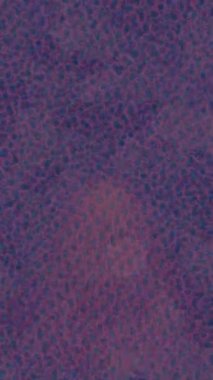 Benzersiz hareket dokusu tasarım sanatı ile profesyonel video düzenleme için modern soyut grafikler