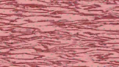 Yaratıcı video düzenleme film tasarımı için benzersiz hareket grafikleri biçimi giriş hareketi video pro