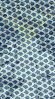 Profesyonel video projeleri sanat tarzı için organik hareketli arkaplan tasarımı