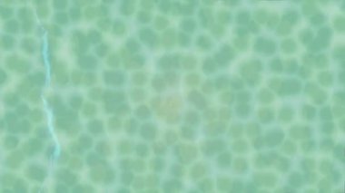 Lüks hareket tasarımı üst düzey video projeleri ve dijital sanat için zarif, pürüzsüz bir dokusu var.