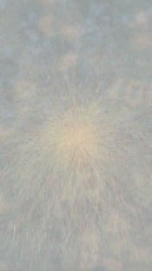 Benzersiz dijital hareket grafiklerine sahip yaratıcı sinematik projeler için yumuşak animasyon yüzeyi