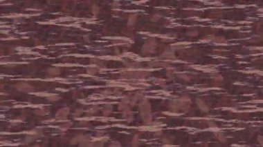 Benzersiz hareket dokusu tasarım sanatı ile profesyonel video düzenleme için modern soyut grafikler