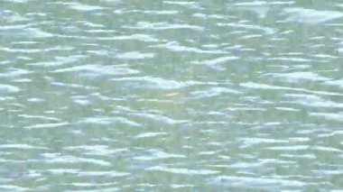 Benzersiz hareket grafikleri tasarım sanatına sahip yaratıcı film üretimi için özet bir arkaplan