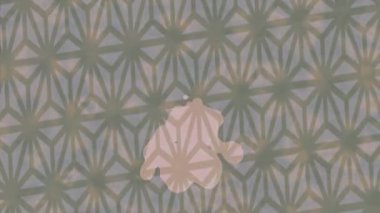 Lüks hareket tasarımı üst düzey video projeleri ve dijital sanat için zarif, pürüzsüz bir dokusu var.