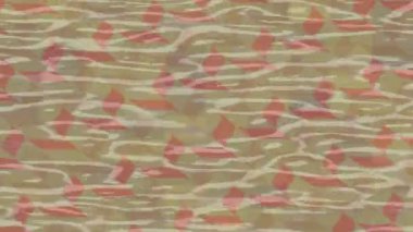 Benzersiz dijital hareket grafiklerine sahip yaratıcı sinematik projeler için yumuşak animasyon yüzeyi