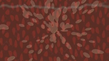 Lüks hareket tasarımı üst düzey video projeleri ve dijital sanat için zarif, pürüzsüz bir dokusu var.