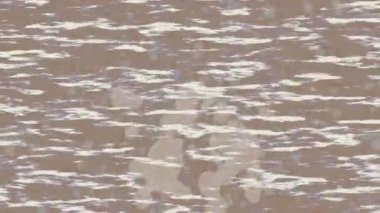 Profesyonel video projeleri sanat tarzı için organik hareketli arkaplan tasarımı