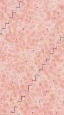 Estetik doku arkaplan tasarımı renkli hareket grafikleri ile moda film giriş profosyoneli