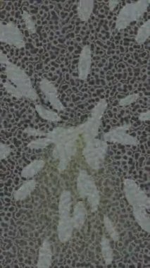 Estetik doku arkaplan tasarımı renkli hareket grafikleri ile moda film giriş profosyoneli